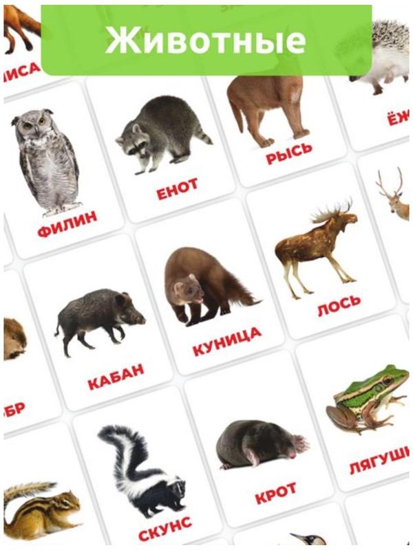 Головоломка «Развивающие карточки. Лесные животные»