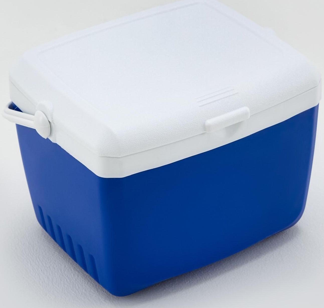 Термоконтейнер, 13 л, сохраняет холод до 36 ч, 38 х 32.5 х 25 см