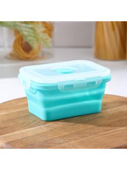 Контейнер складной с крышкой 