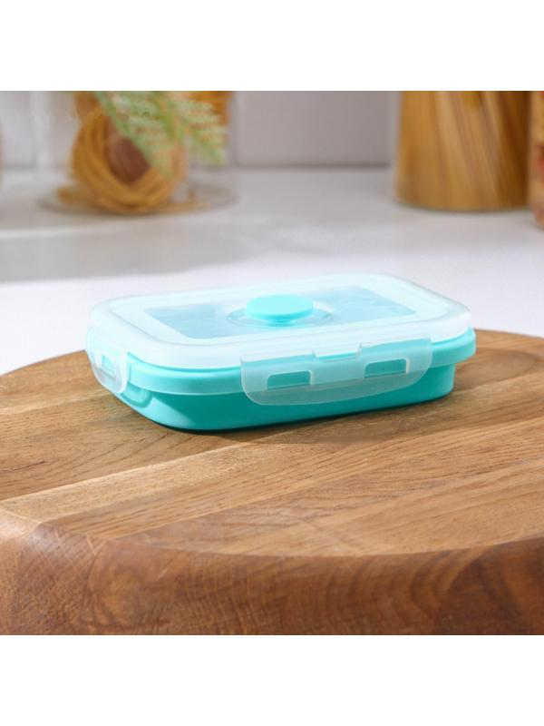 Контейнер складной с крышкой 