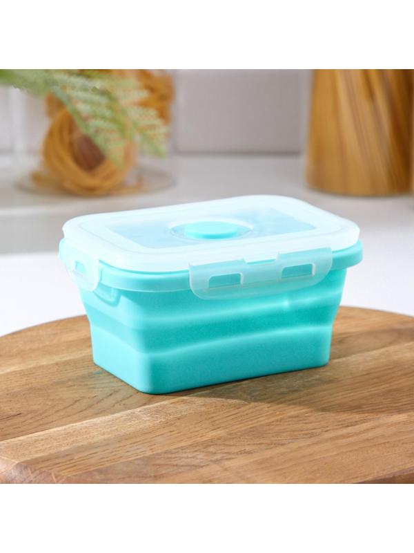 Контейнер складной с крышкой 