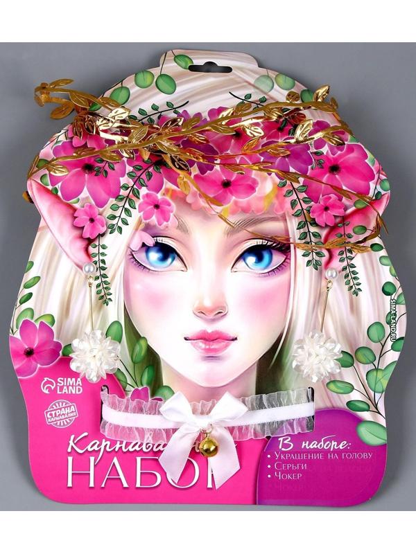 Карнавальный набор 