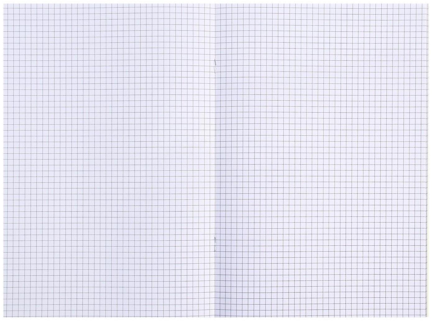 Тетрадь А4-, 48 листов в клетку 