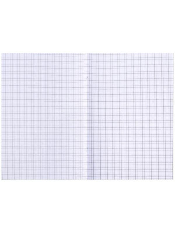 Тетрадь А4-, 48 листов в клетку 