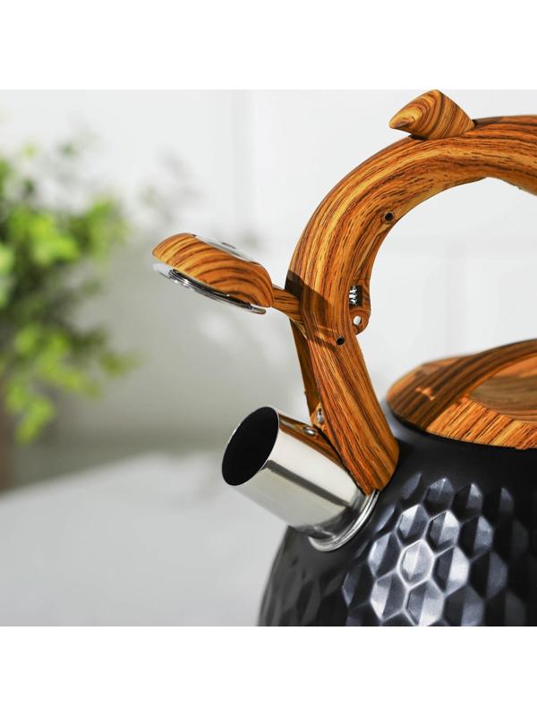 Чайник со свистком из нержавеющей стали Magistro Heat, 3 л, ТРС, индукция, ручка soft-touch, цвет чёрный