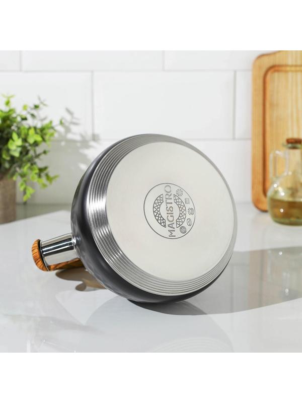 Чайник со свистком из нержавеющей стали Magistro Heat, 3 л, ТРС, индукция, ручка soft-touch, цвет чёрный