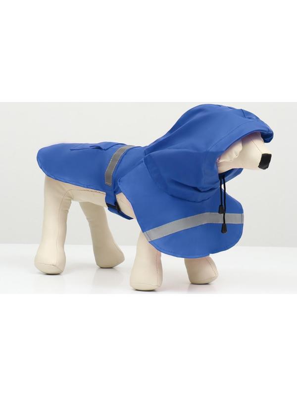 Дождевик для собак, размер L (ДС 30-35, ОГ 38-43, ОШ 26-31 см), синий