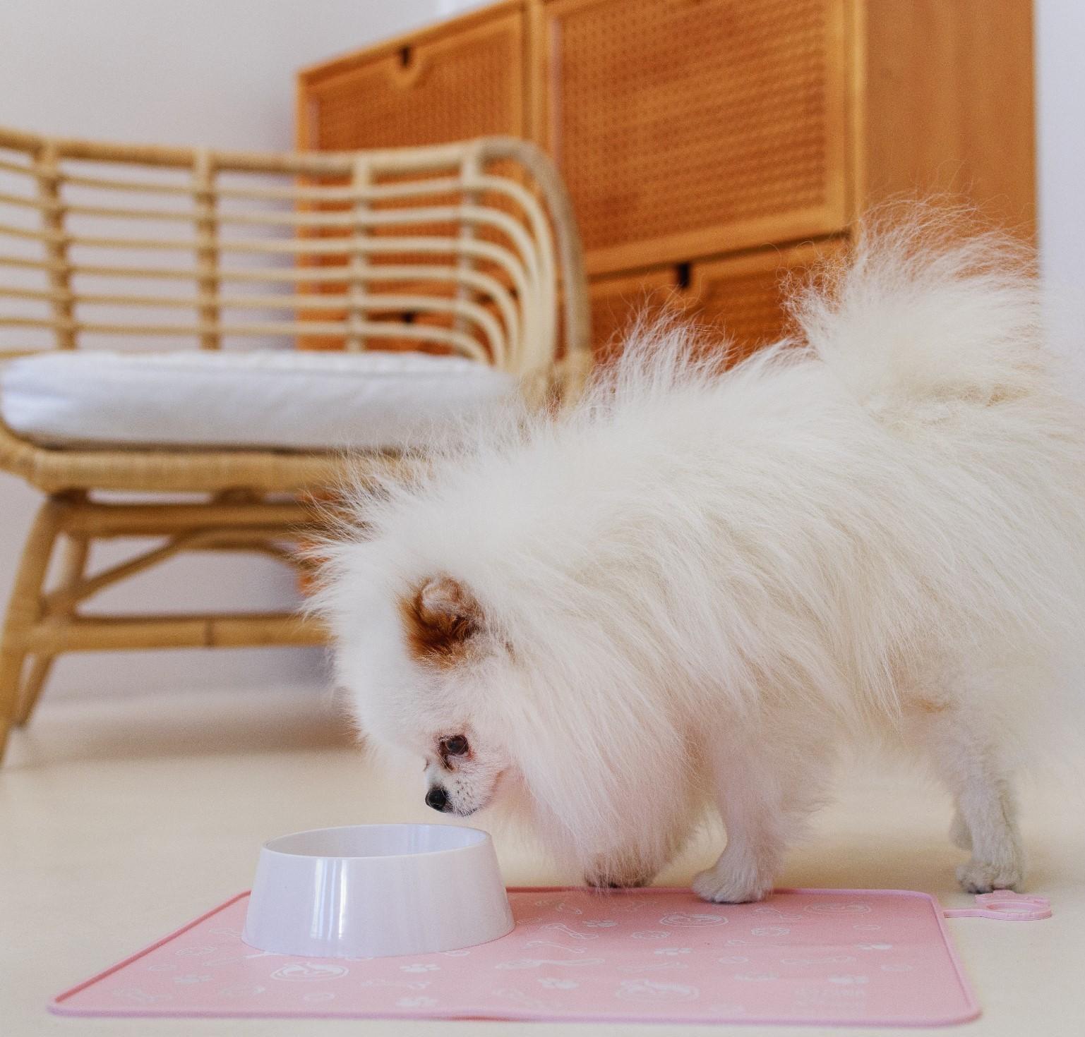 Коврик силиконовый под миску «Паттерн», 30х40 см, розовый