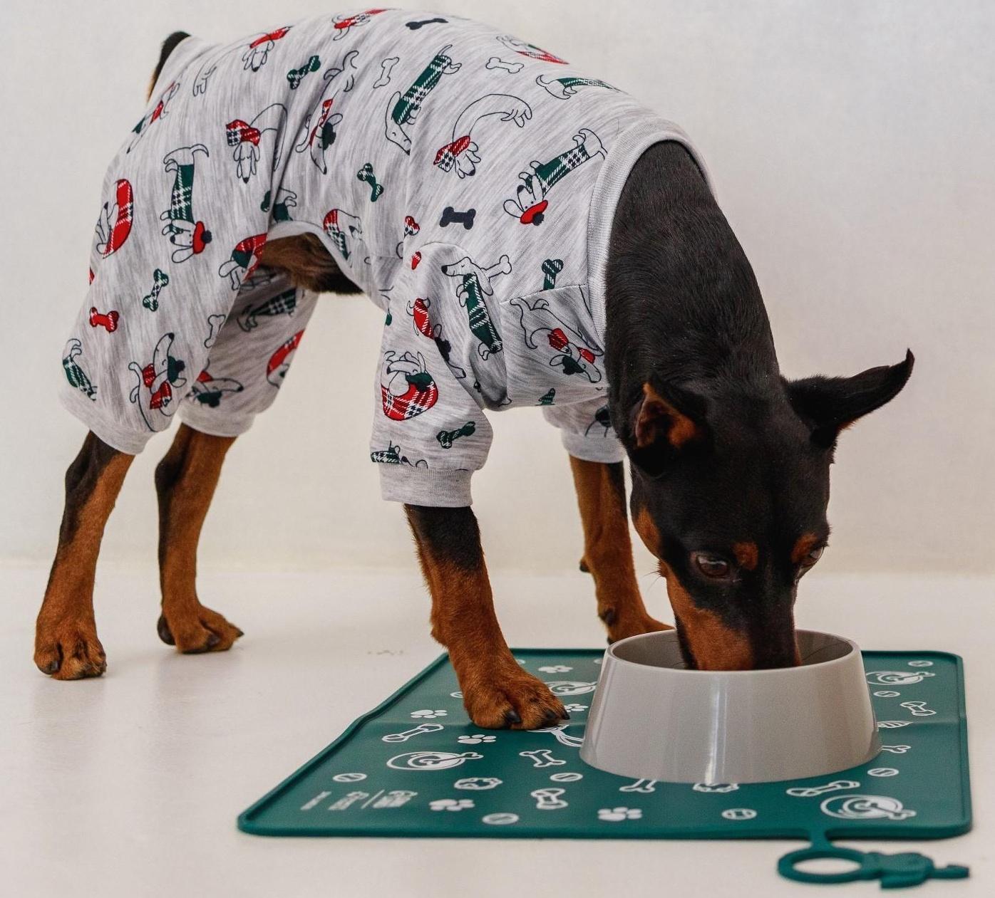 Коврик силиконовый под миску «Паттерн», 30х40 см, зеленый