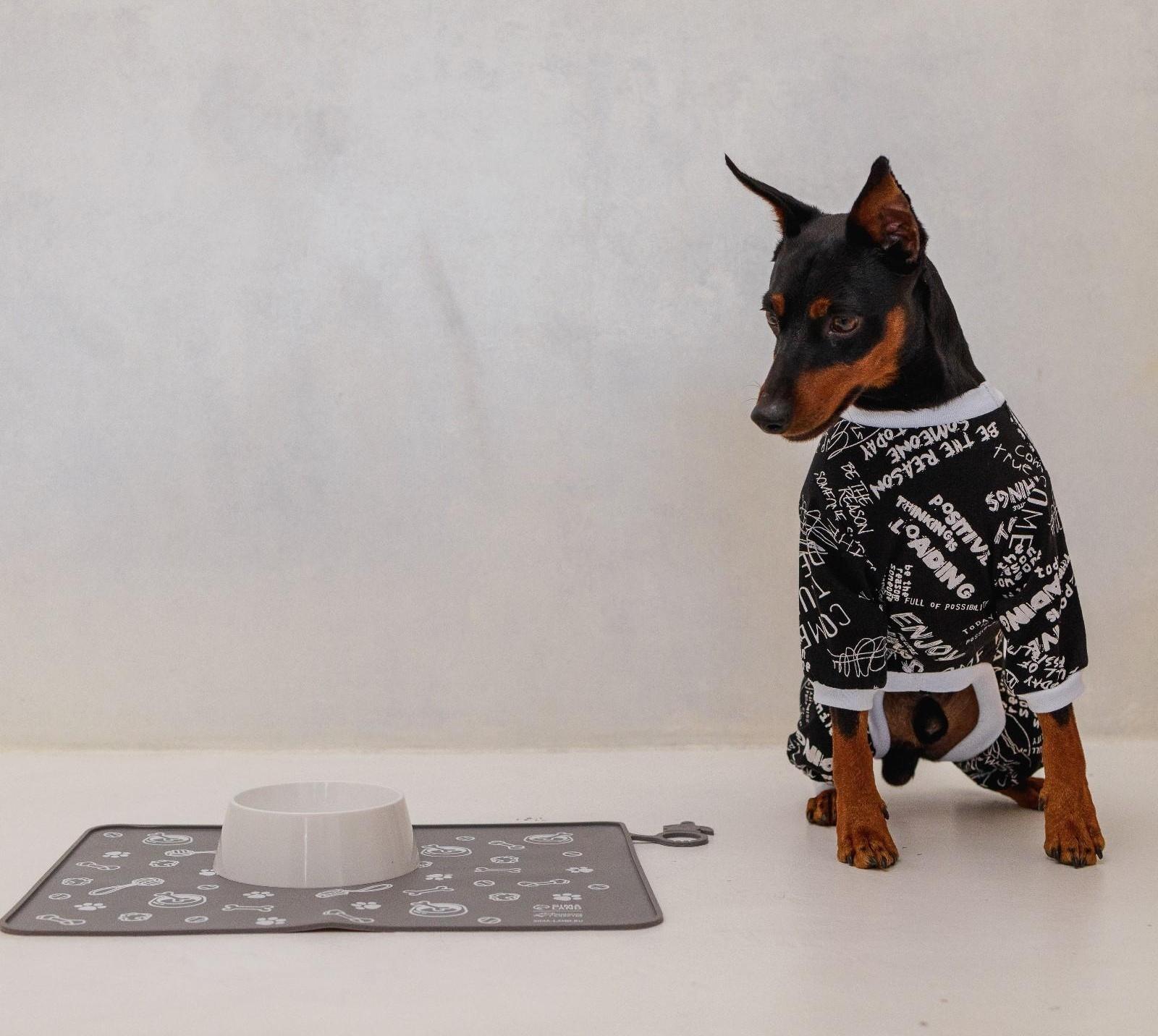 Коврик силиконовый под миску «Паттерн», 30х40 см, серый