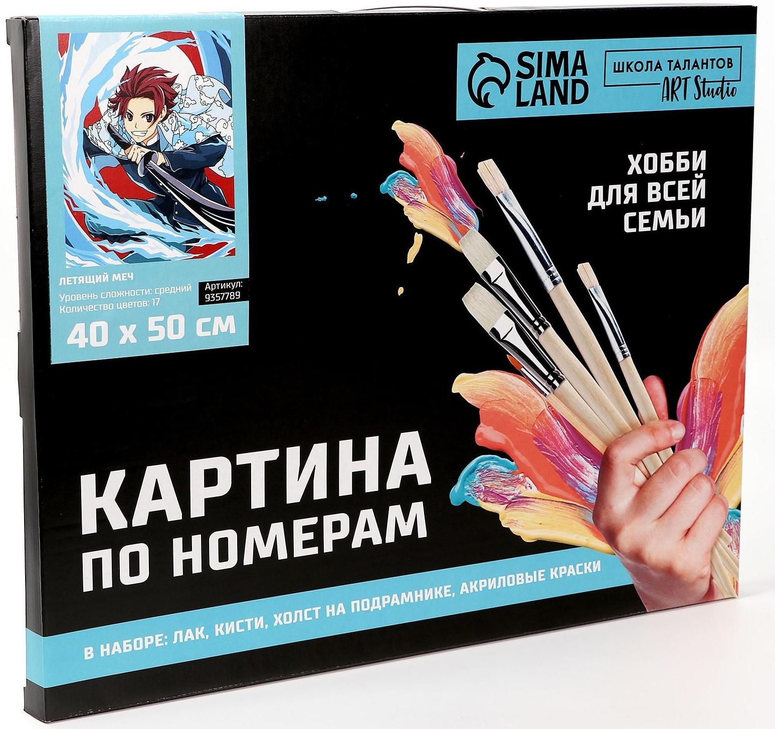 Картина по номерам на холсте с подрамником «Летящий меч», 40х50 см