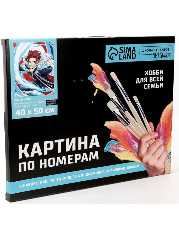 Картина по номерам на холсте с подрамником «Летящий меч», 40х50 см