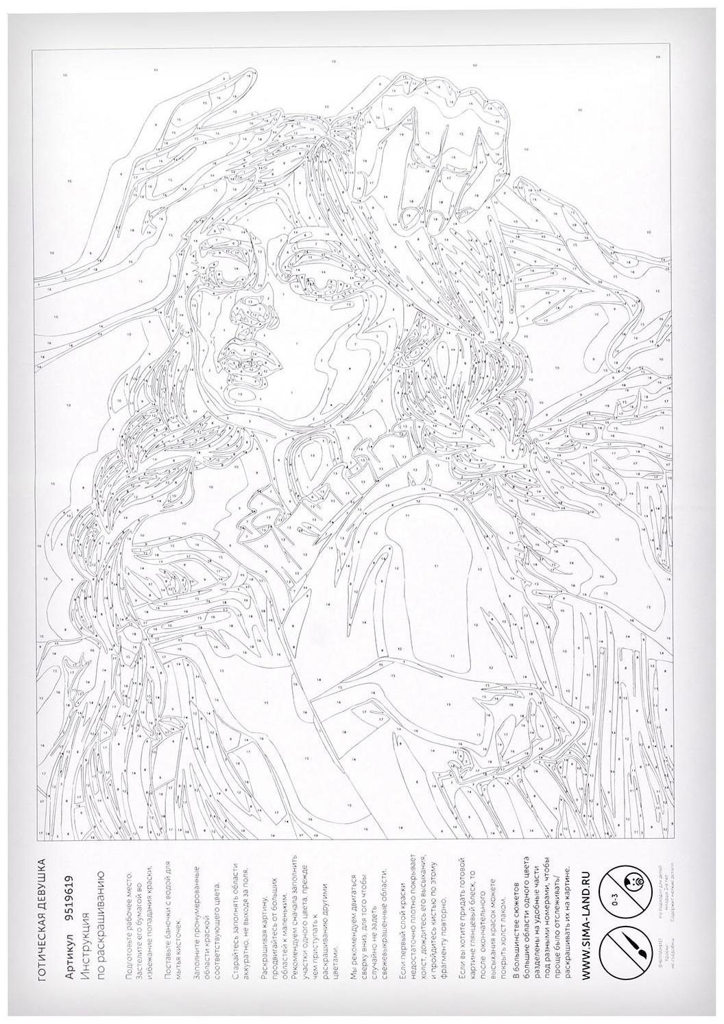 Картина по номерам на холсте «Готическая девушка», 40х30 см, в плёнке