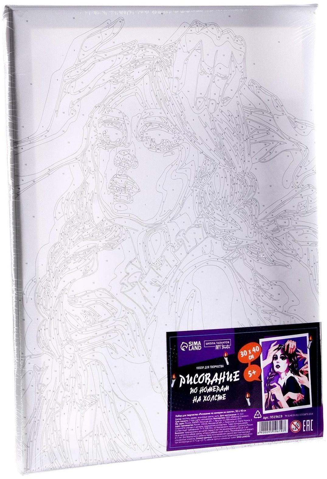 Картина по номерам на холсте «Готическая девушка», 40х30 см, в плёнке