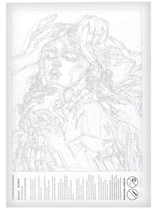 Картина по номерам на холсте «Готическая девушка», 40х30 см, в плёнке