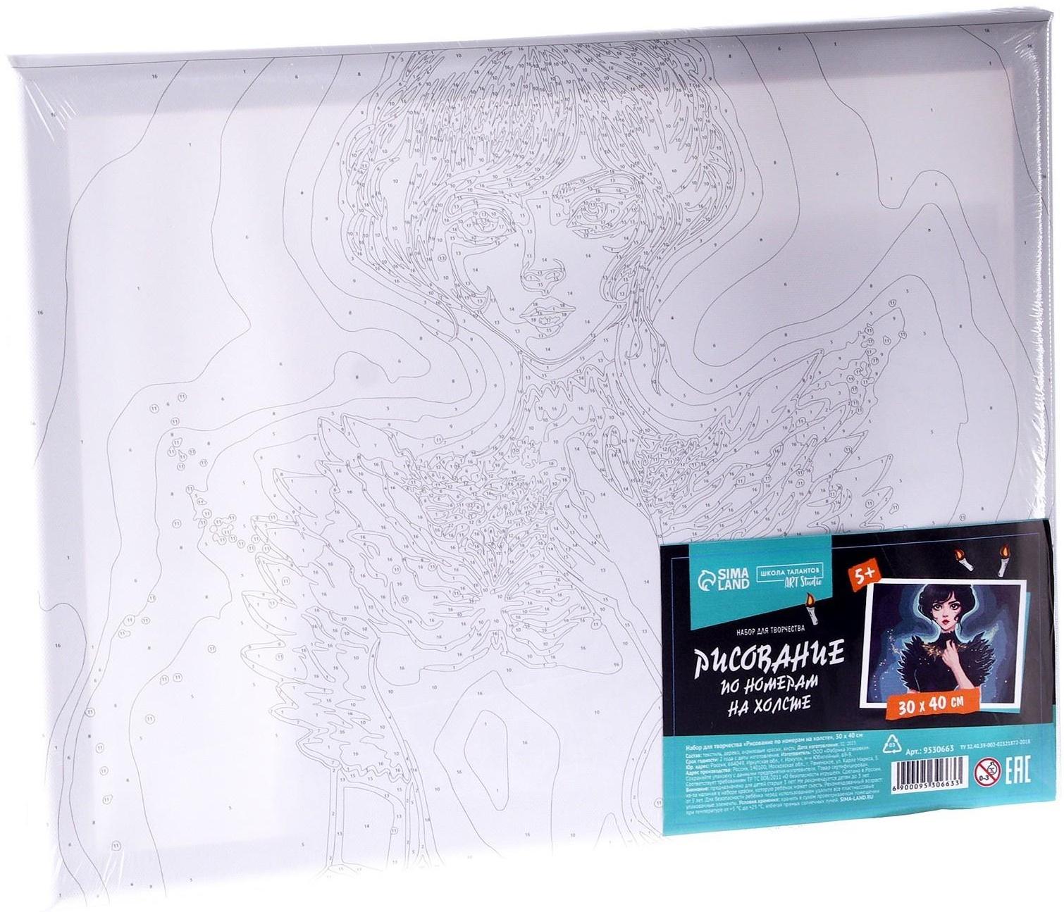 Картина по номерам на холсте «Таинственная девушка», 30х40 см, в плёнке