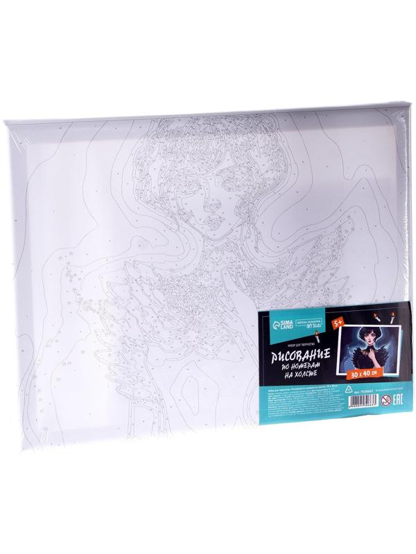 Картина по номерам на холсте «Таинственная девушка», 30х40 см, в плёнке