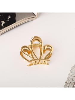 Краб для волос 