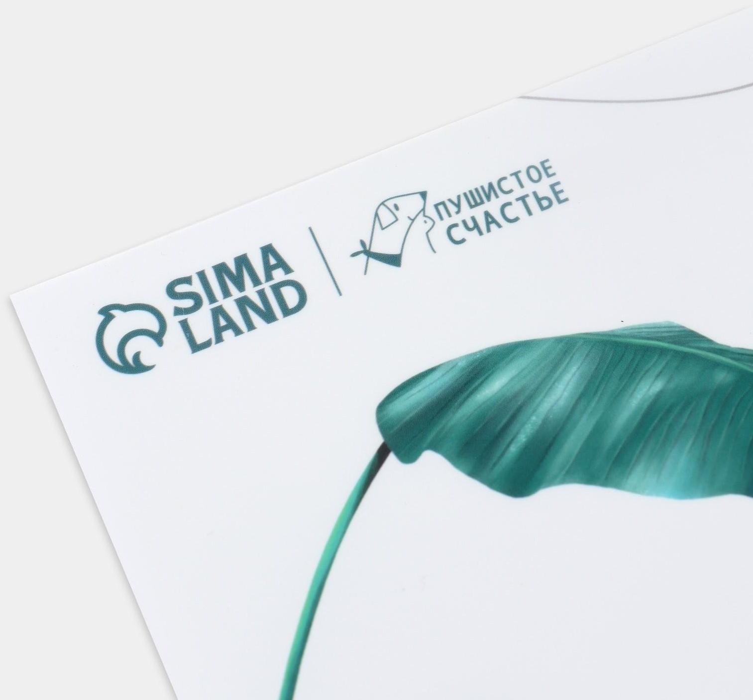 Коврик под миску «Рай», 43х28см