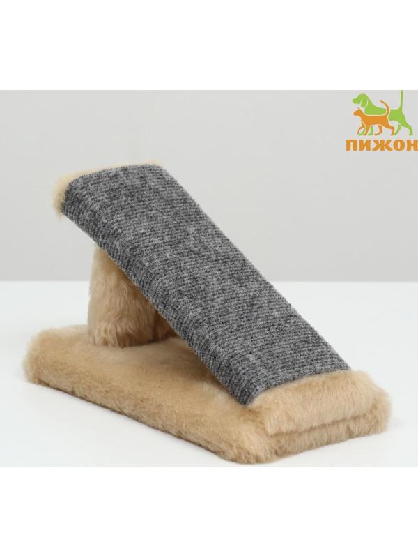 Когтеточка 