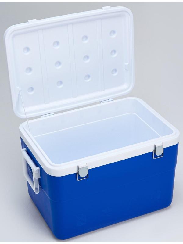 Термоконтейнер 45 л, сохраняет температуру до 36 ч, 52 х 37 х 37 см