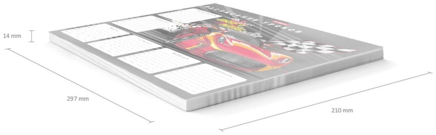 Расписание уроков ErichKrause® Drift King, А4