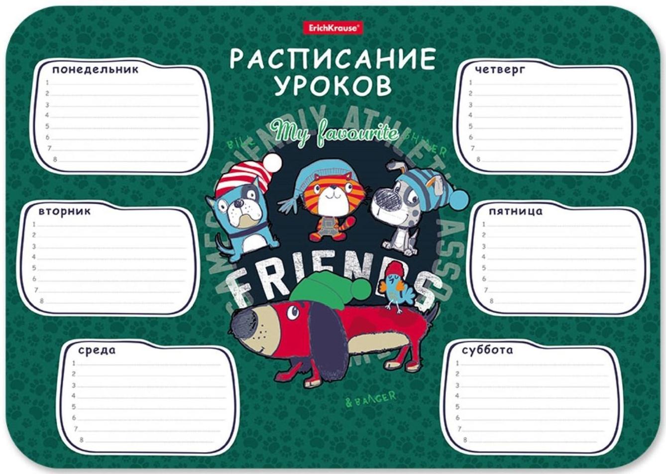 Расписание уроков пластиковое ErichKrause® Adventure Friends, А4