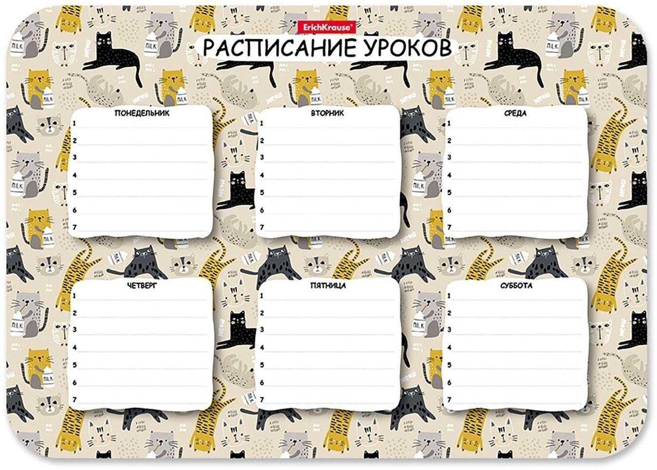 Расписание уроков пластиковое ErichKrause® Lying Cats, А4