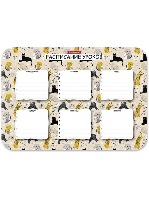 Расписание уроков пластиковое ErichKrause® Lying Cats, А4