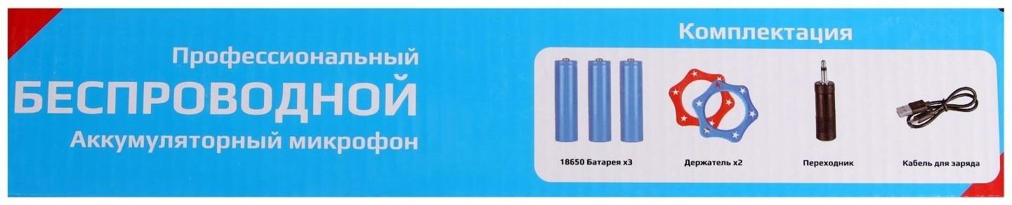 Набор микрофонов ELTRONIC 10-04, беспроводные, 2 микрофона, приемник, черный