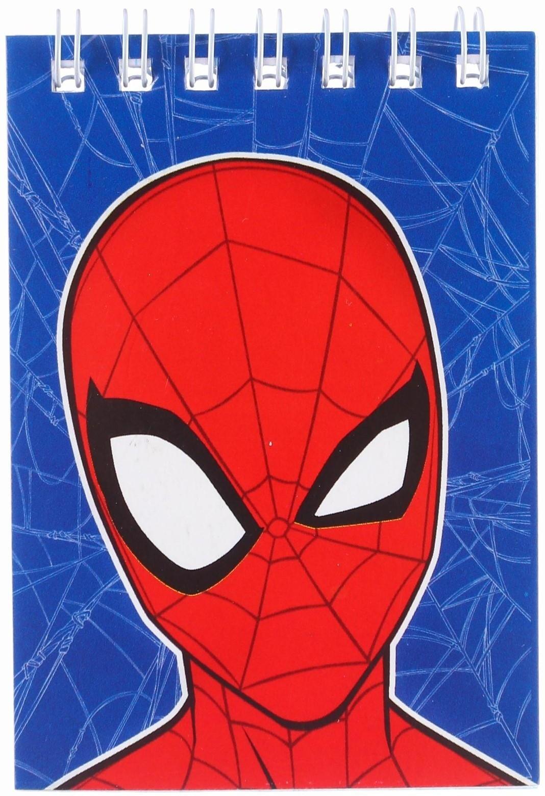 Подарочный набор для творчества, Человек Паук, 6 предметов