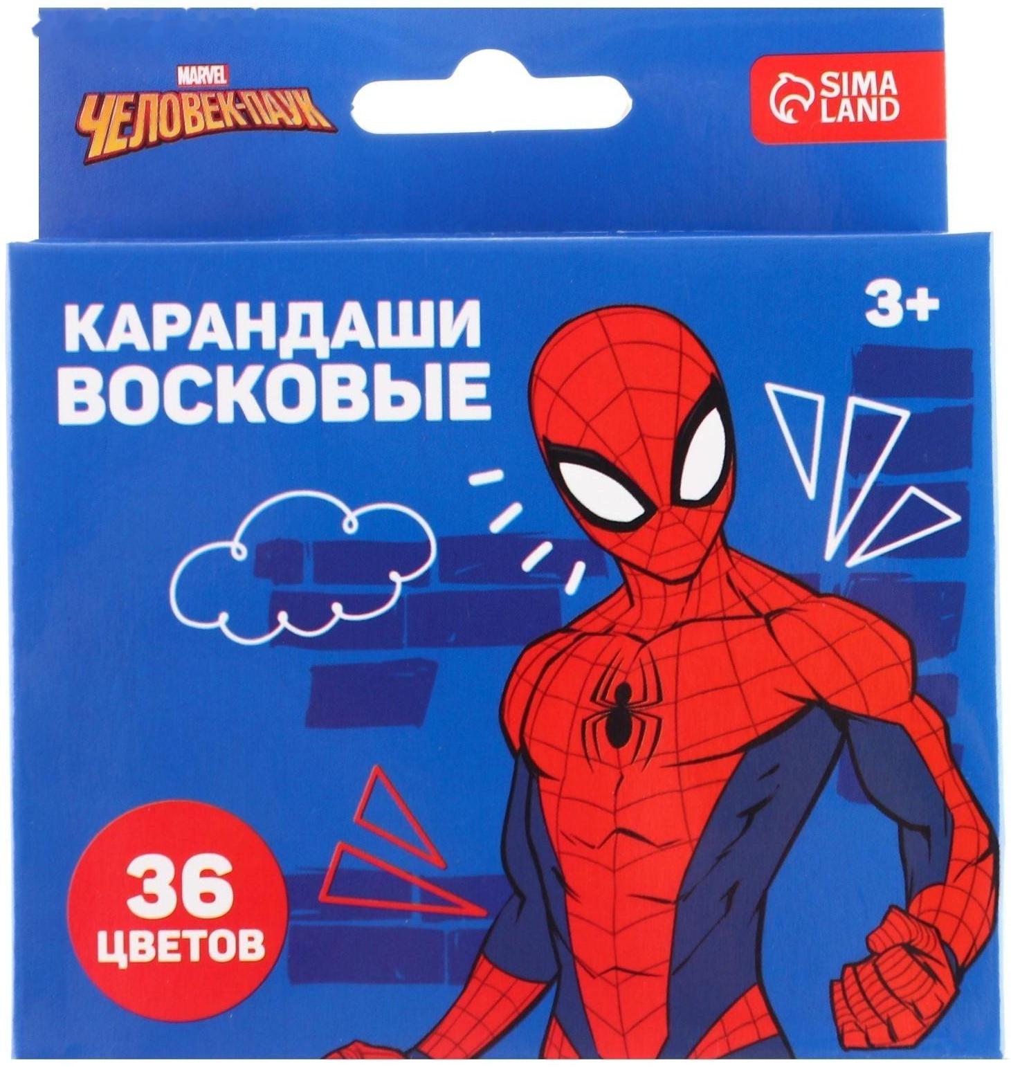 Подарочный набор для творчества, Человек Паук, 6 предметов