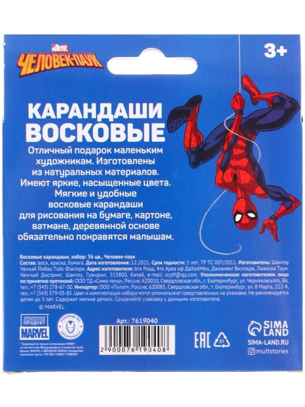 Подарочный набор для творчества, Человек Паук, 6 предметов