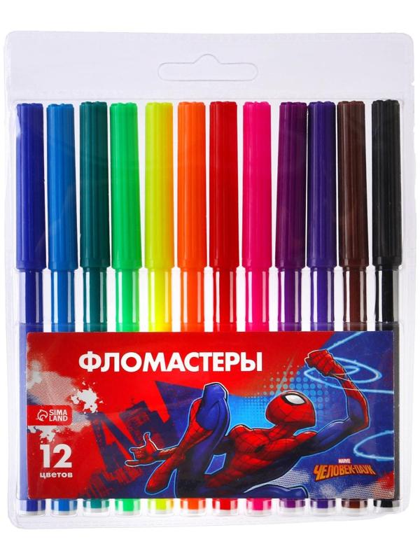 Подарочный набор для творчества, Человек Паук, 6 предметов