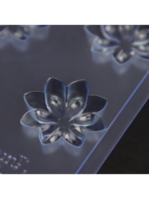 Форма для шоколада и конфет «Бадьян», 3,5×3,5×1,1 см, цвет прозрачный