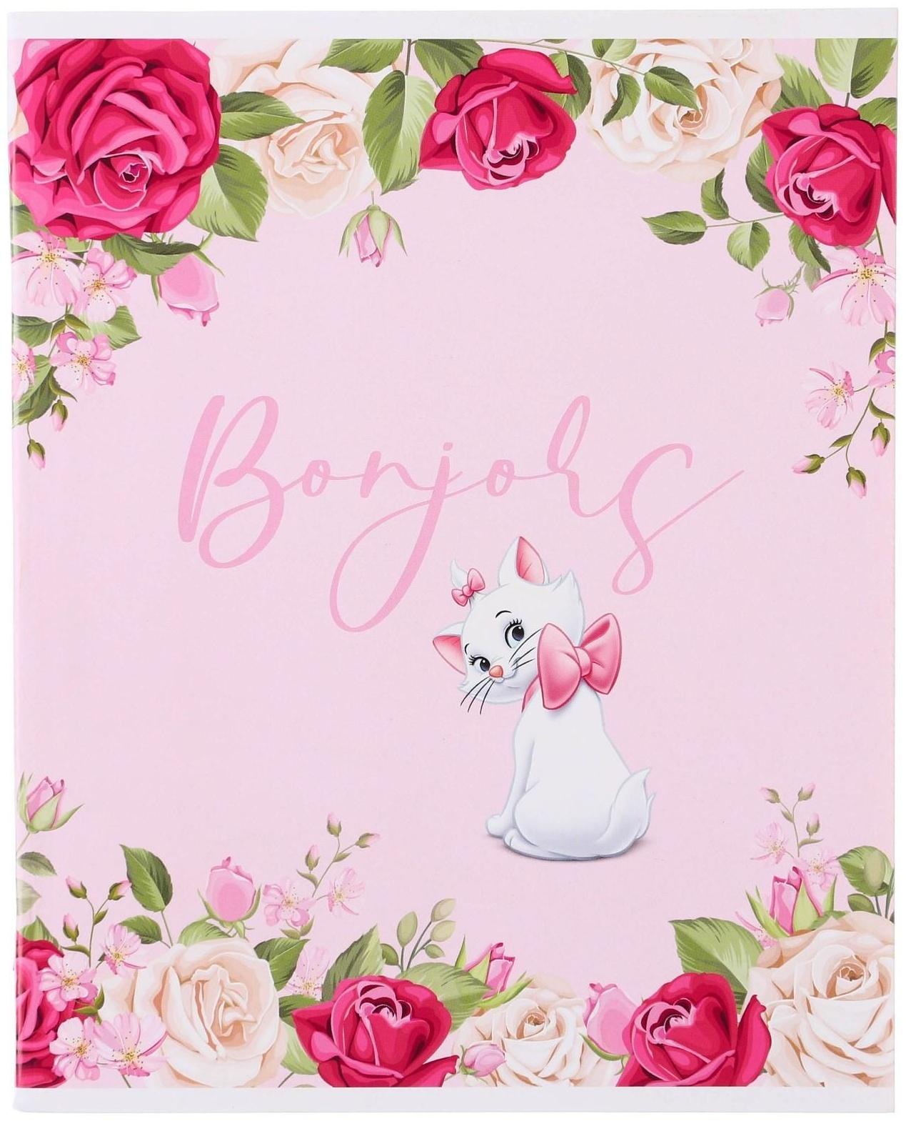 Тетрадь 48 листов в клетку, картонная обложка, Bonjour, Коты-аристократы /  1 шт.