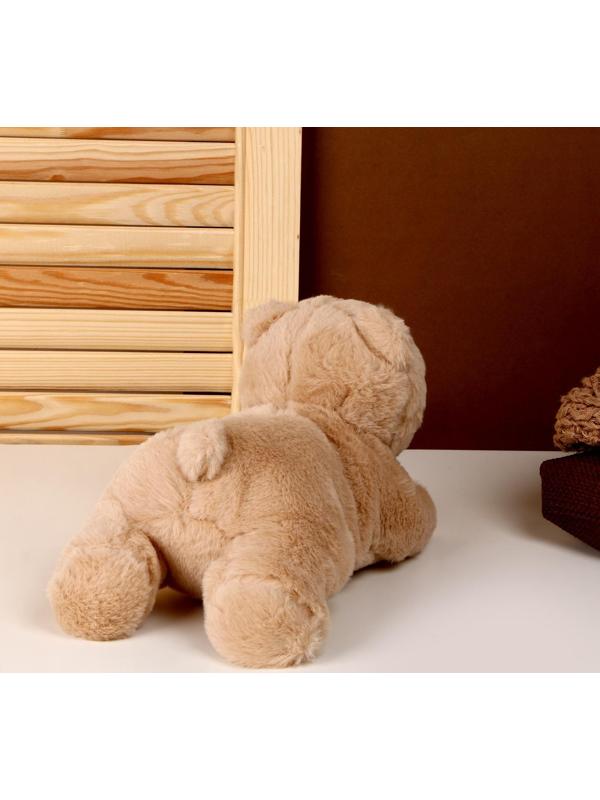 Мягкая игрушка «Медведь», 25 см, цвета МИКС