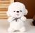 Мягкая игрушка «Собака», 25 см, цвет белый