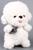 Мягкая игрушка «Собака», 25 см, цвет белый