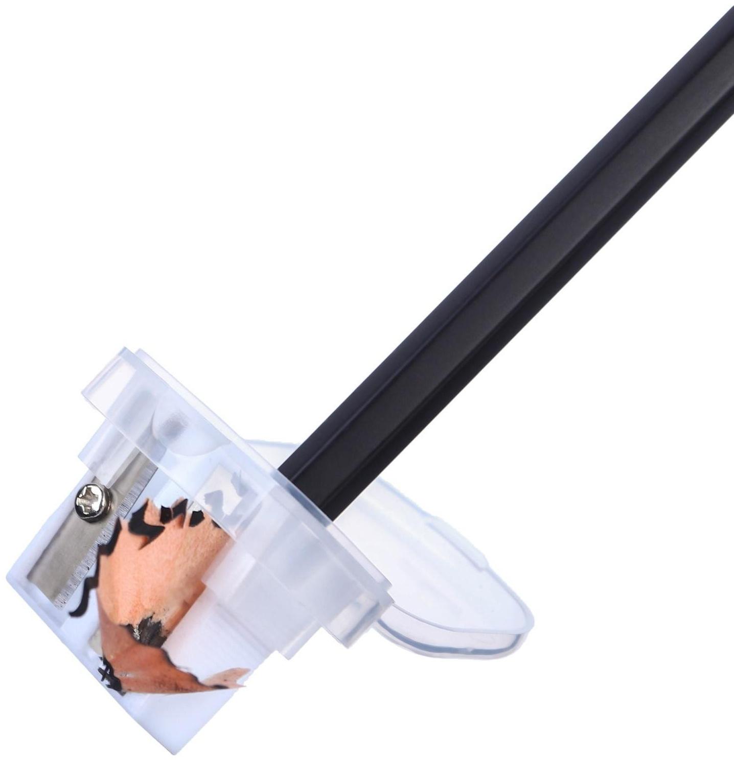 Точилка пластиковая с контейнером, двойная, МИКС, Смешарики