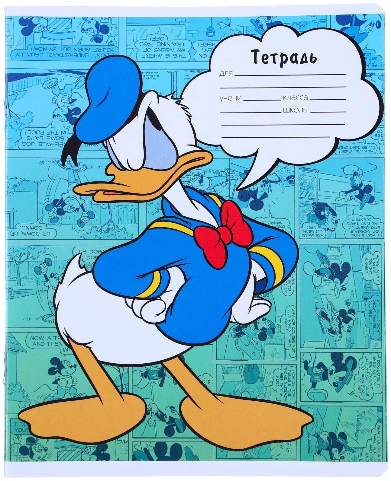 Тетрадь 24 листа, 5 видов, линейка,  мелованная бумага,Минни Маус / Микс 10 шт.