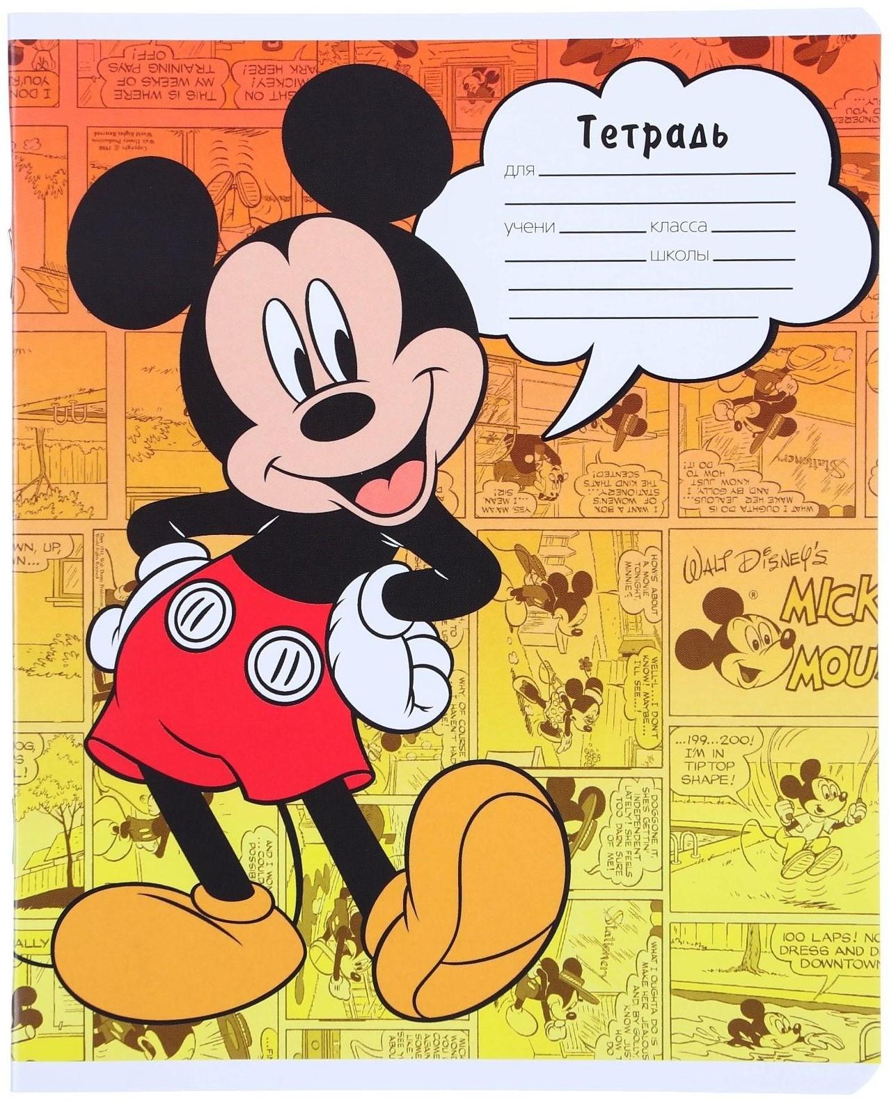 Тетрадь 24 листа, 5 видов, линейка,  мелованная бумага,Минни Маус / Микс 10 шт.