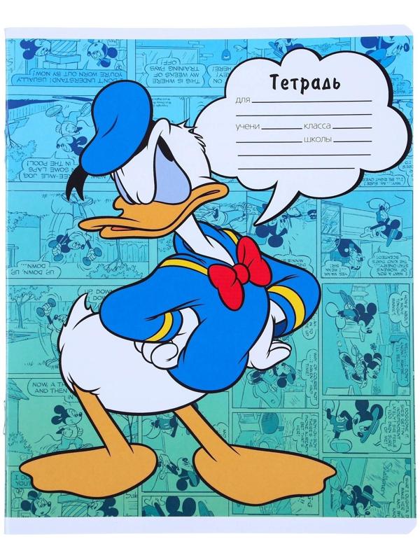 Тетрадь 24 листа, 5 видов, линейка,  мелованная бумага,Минни Маус / Микс 10 шт.