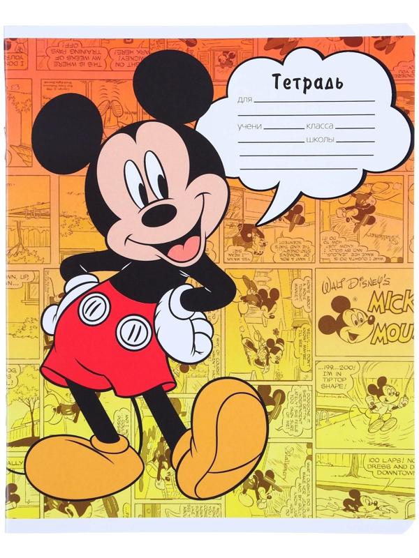 Тетрадь 24 листа, 5 видов, линейка,  мелованная бумага,Минни Маус / Микс 10 шт.