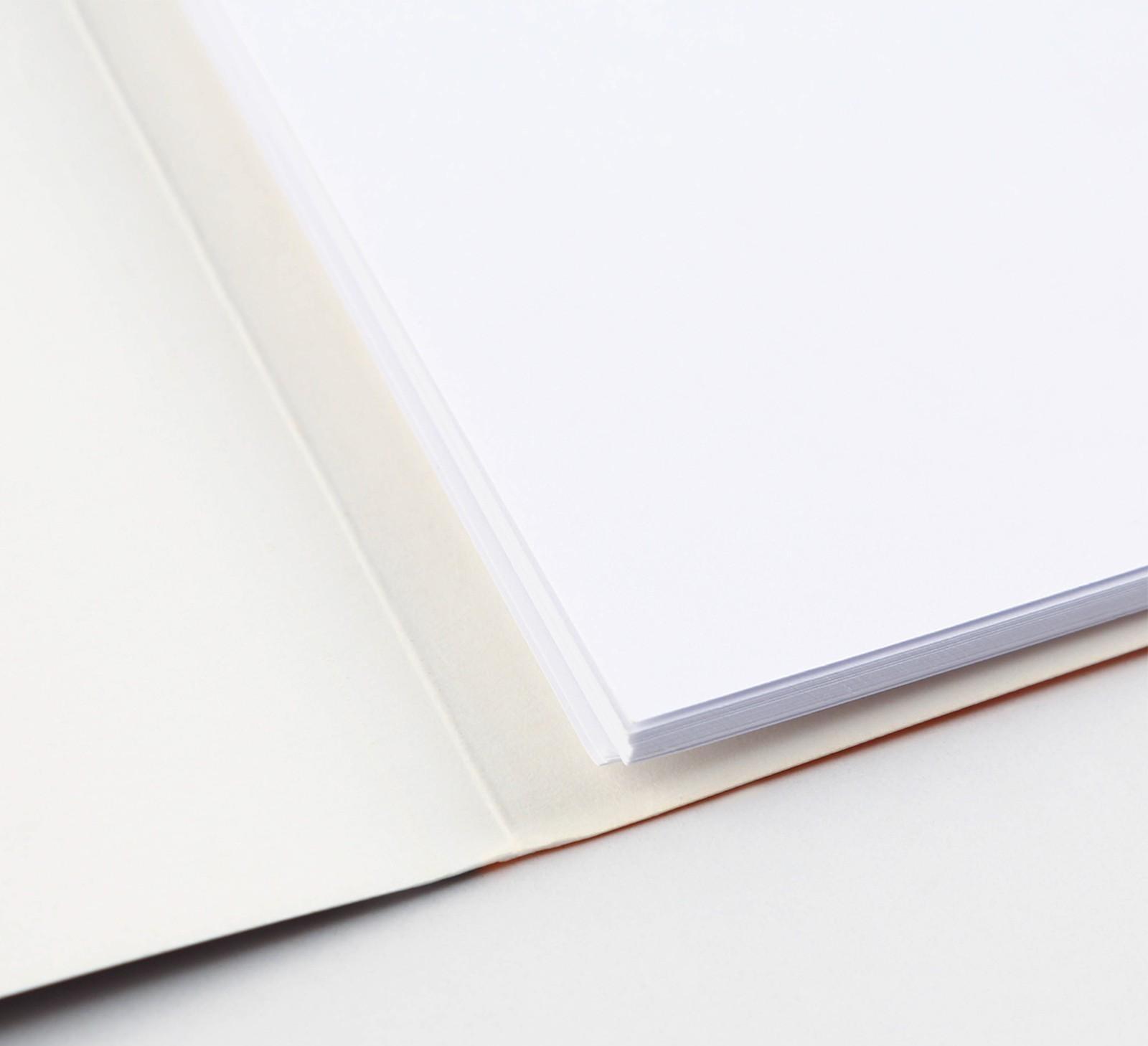 Бумага для черчения А4, 20 листов, без рамки, белизна 100%, 160 г/м², в папке.