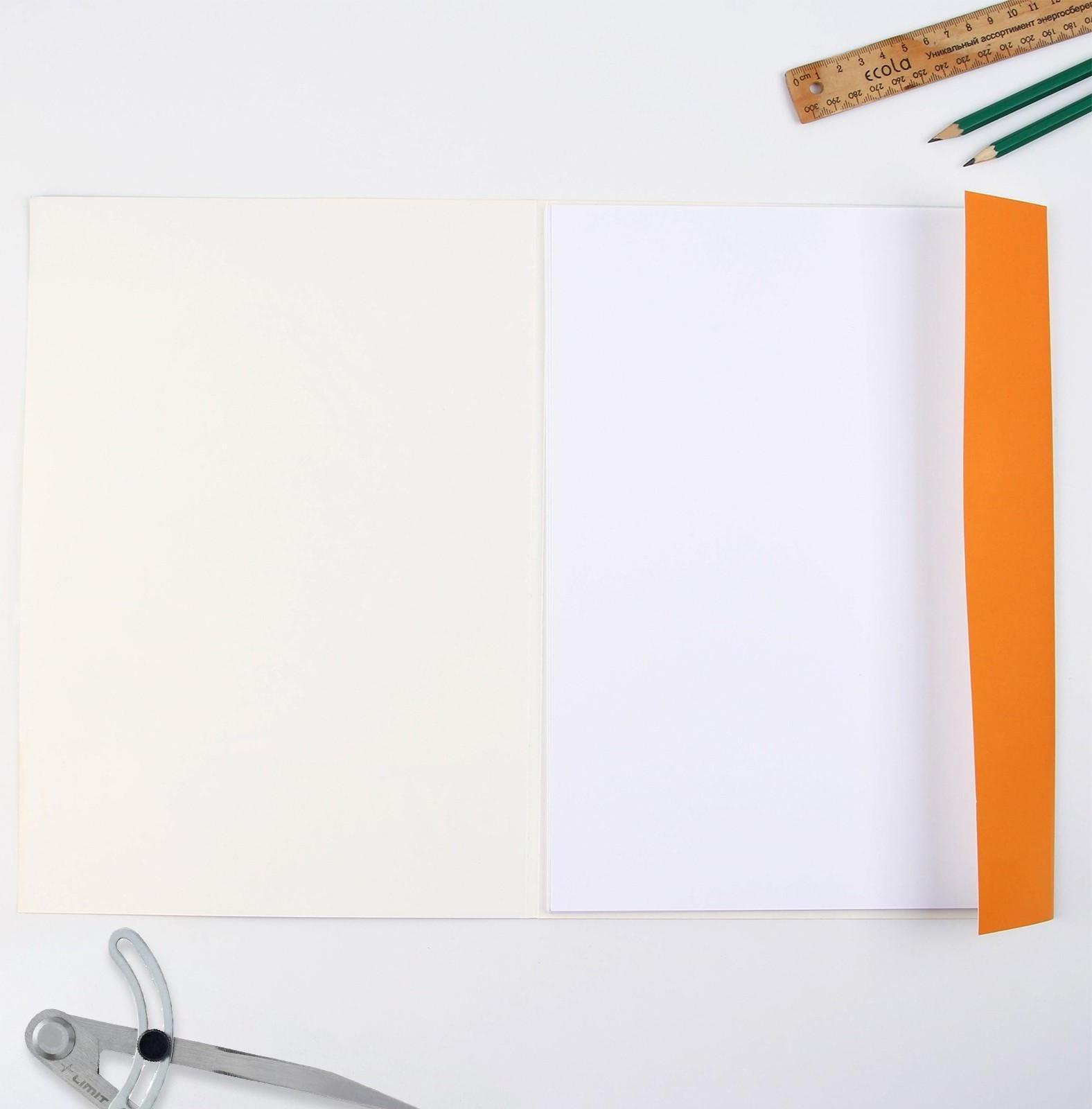 Бумага для черчения А4, 20 листов, без рамки, белизна 100%, 160 г/м², в папке.