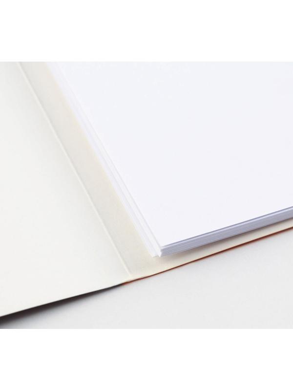 Бумага для черчения А4, 20 листов, без рамки, белизна 100%, 160 г/м², в папке.