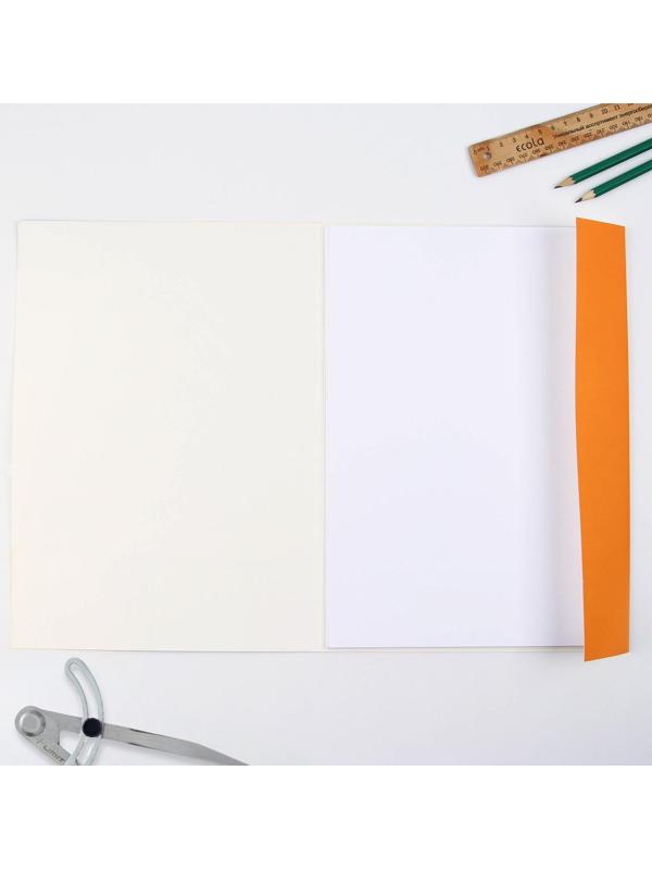 Бумага для черчения А4, 20 листов, без рамки, белизна 100%, 160 г/м², в папке.