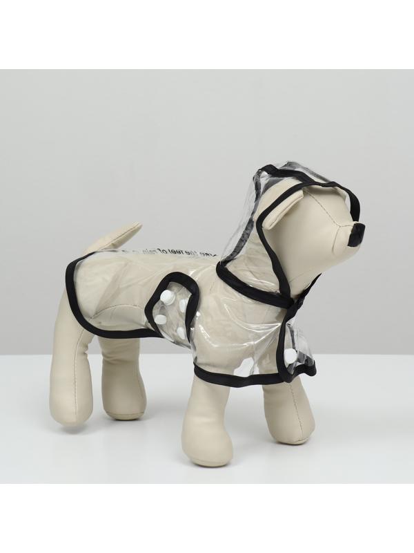 Дождевик для собак, размер XS (ДС 18, ОГ 25-30, ОШ 25 см), чёрный