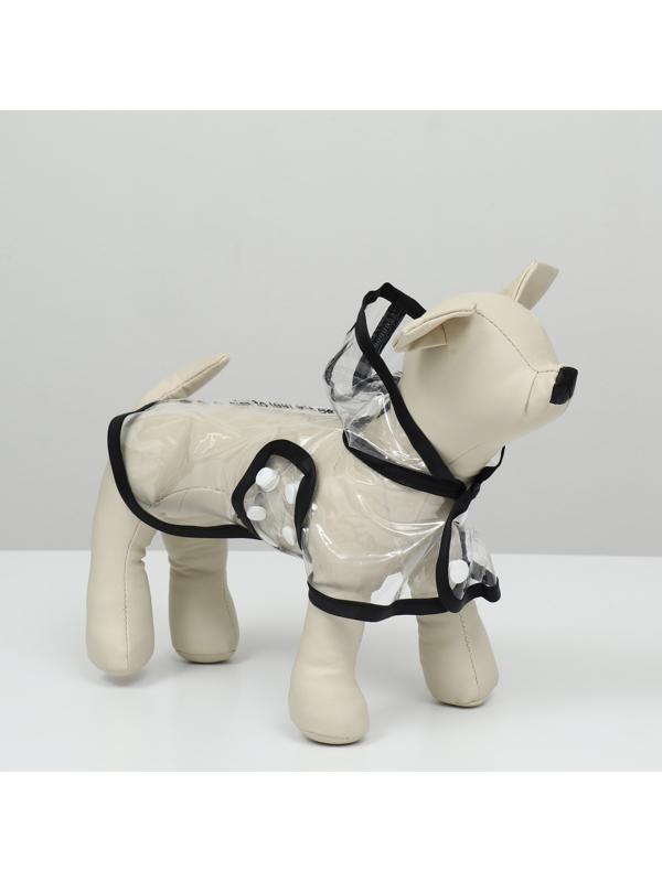 Дождевик для собак, размер XS (ДС 18, ОГ 25-30, ОШ 25 см), чёрный